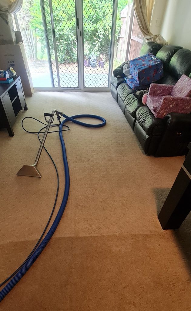 Sparkle carpet cleaning about us