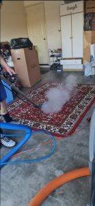 professional home carpet steam cleaning