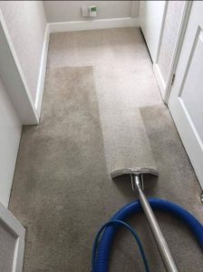 best floor steam cleaning