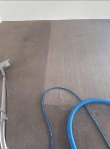 best home carpet steam cleaner