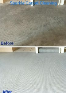 carpet steam cleaning image 29