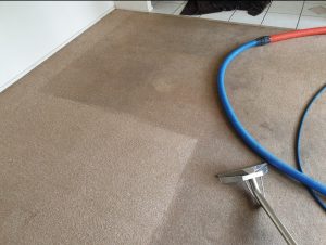 best residential carpet steam cleaner