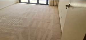 professional house carpet steam cleaning