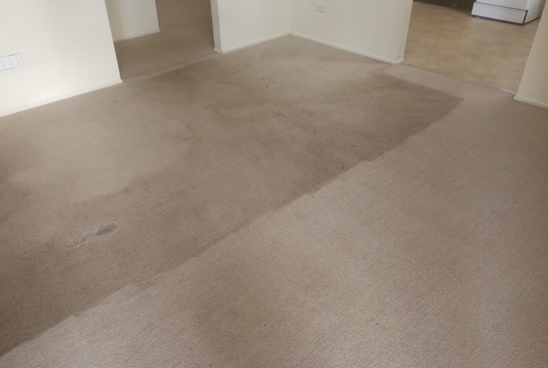residential carpet steam cleaning