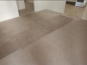 residential carpet steam cleaning
