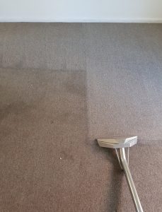 best residential carpet steam cleaning