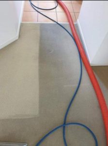 home floor carpet steam cleaning