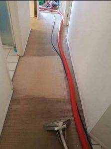 home floor carpet steam cleaner