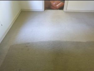 carpet steam cleaning image 28