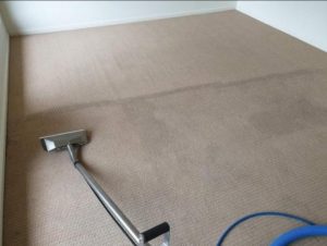 professional residential carpet steam cleaning