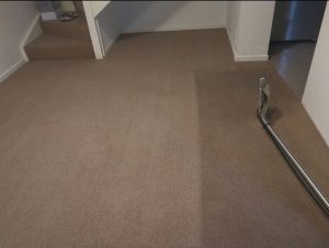 home carpet steam cleaner