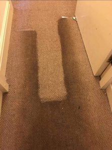 house carpet steam cleaning