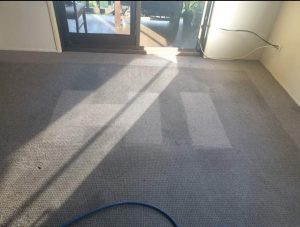 home carpet steam cleaning services
