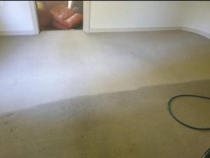 home carpet steam cleaning