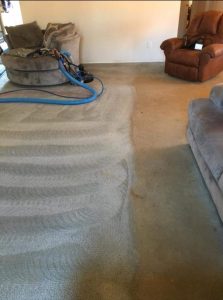 house carpet steam cleaning