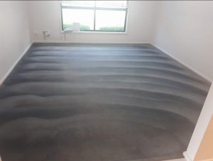 best carpet steam cleaning for house