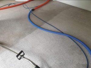 home floor steam cleaning